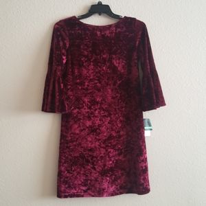 Velvet Burgundy Gabby Skye Dress